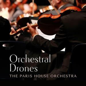 美女裸体被日网站
